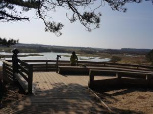 Maisons de vacances 