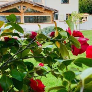 Maisons de vacances Au Temps Suspendu : photos des chambres