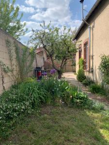 Maisons de vacances Maisonnette du coteau ouest - Jardin et terrasse - Epernay : photos des chambres