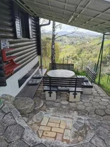 KOZJANSKA KOČA - Buče