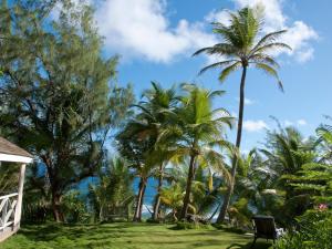 Tent Bay, Bathsheba BB21054, Barbados.