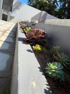 Guest house on Gillian Unit 1