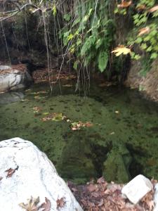 #10 Despina Studios Kastanies Raxes Ikaria