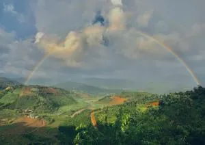 Midori Coffee Farm - Riong Serignac