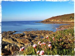 Maisons de vacances Coquet Nid douillet ...Slow Life : photos des chambres