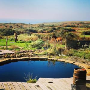 Maisons de vacances Coquet Nid douillet ...Slow Life : photos des chambres