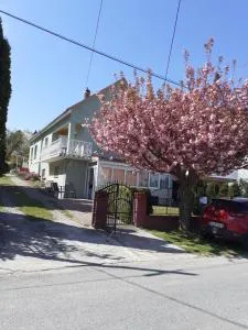 XXL Apartman - Zalakaros