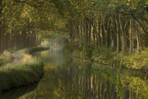 Maisons d'hotes LE MOULIN DU VIVIER : photos des chambres