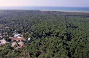 Complexes hoteliers Green Resort : photos des chambres