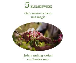 Appartamento con Vista Giardino