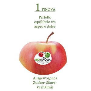 Appartamento con Balcone