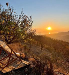 La Caravana de Sofia