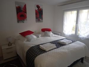 T3 cosy, grand jardin, à 200 m de parc ST Nicolas, plusieurs parkings Angers