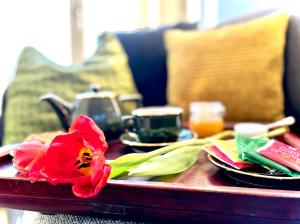 Latique by Agelandkaai be with Free Parking