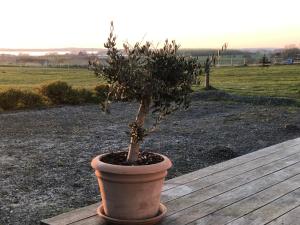 Country-living with a lovely view and own terrace, entrance and parking