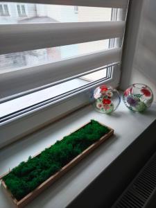 Apartament Przy rynku