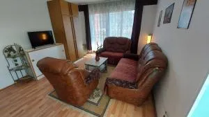 Apartman Sara - Negotin