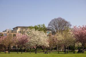 Ballsbridge, Dublin 4, Ireland.