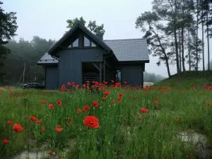 ApartmentApsuciems - Tukums