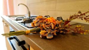 casa Stella centro Foce