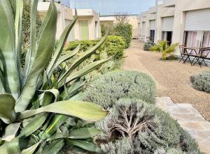 Hotels Amerique Hotel Palavas - Piscine - Plage : photos des chambres