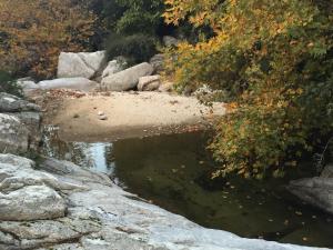 One Bedroom Apartment With Kitchenette# 12 A