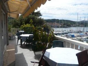 The Olive Tree