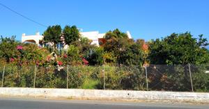 Villa Rosemagnolia, pool 35m2, in green, gardens, full sun close to everything
