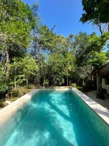 Blue Monkey Chemuyil - Solidaridad