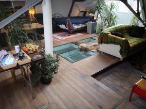 Artistic loft apartment with big sun terrace