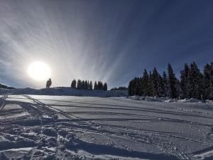Ferienwohnung Adrowitzer