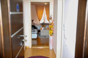 Apartman Dunja