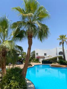 Delta Sharm resort - one bed room flat - 64 m2