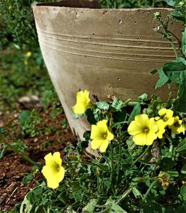 Le Casette casa vacanze