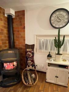 Port Ripaille, les grèbes 24