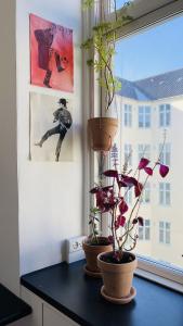 ApartmentInCopenhagen Apartment 1485