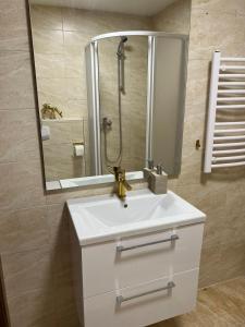 Tiltų 5-2 Old Town view