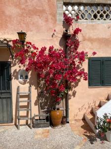 Casita rosa