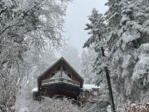 Sweet getaway in private Giant Sequoia Grove!