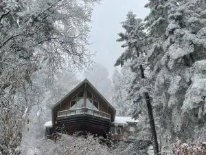 Sweet getaway in private Giant Sequoia Grove! - Camp Nelson