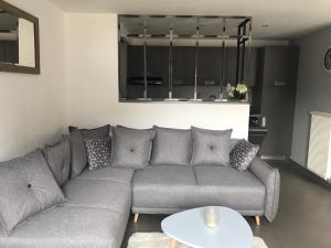 Appartement vu sur mont blanc