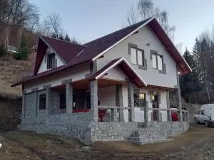 Cabana Belvedere Dragoslavele - 萨提克