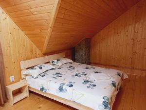 Cabana Belvedere Dragoslavele