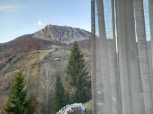 Cabana Belvedere Dragoslavele