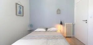 Histoire de Loire - RABELAIS - Distré