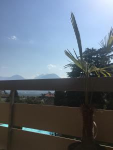 sonnige schicke Ferienwohnung Meran Pienzenau