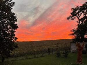 Appartements Best view and spa on the Champagne vineyard : photos des chambres