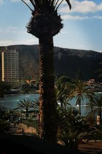 EL CARMEN beach apartment