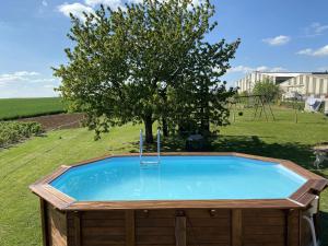 Appartements Studio avec piscine partagee jardin amenage et wifi a Charmes : photos des chambres
