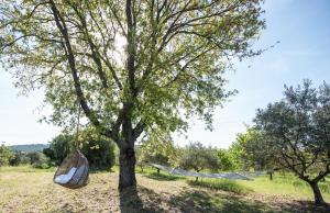 Appartements La Petite Ruche, 1 bedroom Gite in the Luberon : photos des chambres